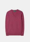 Men's Geelong Lambswool Vee Neck Jumper in Vegas